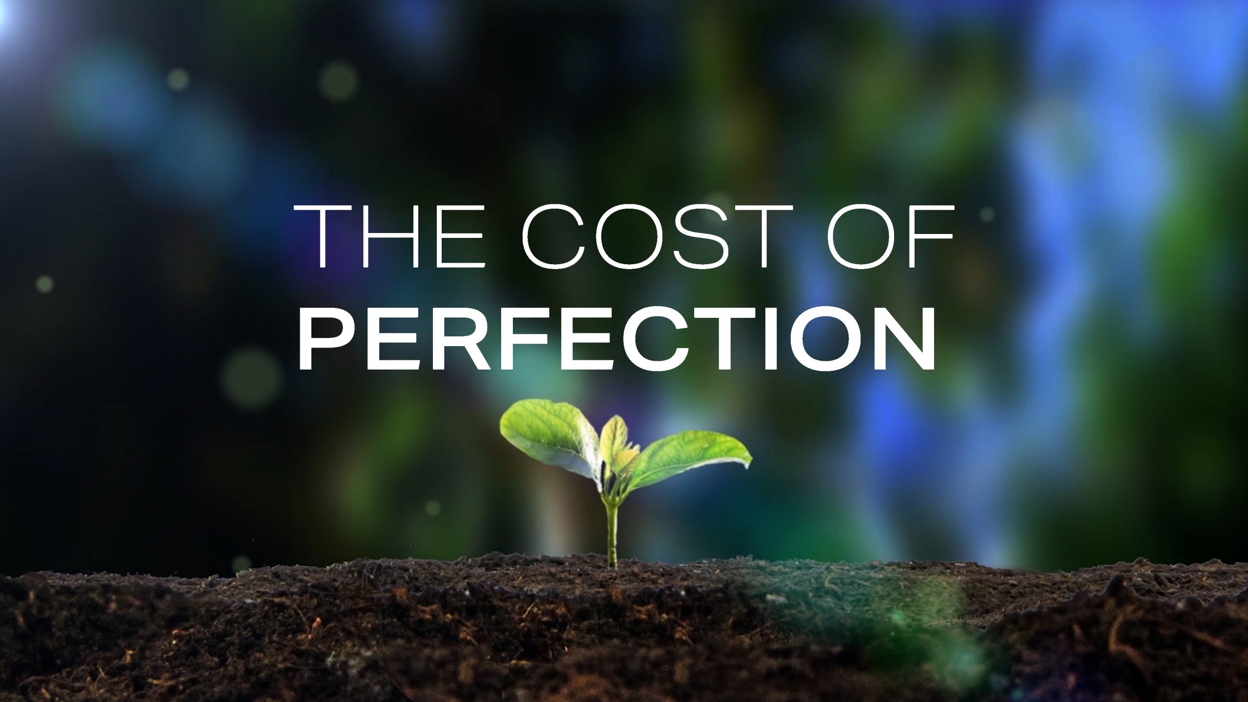 bridals inn promotion thumb scaled | Bridals Inn